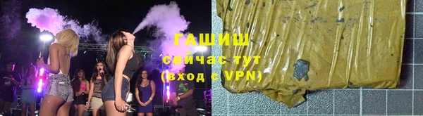 гидра Богданович