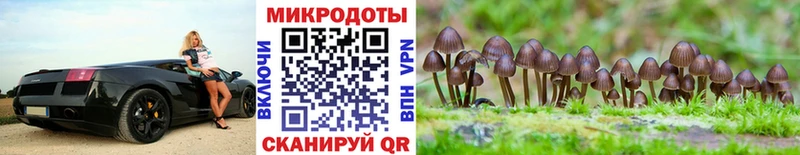 гидра tor цены наркотик Калач darknet формула Галлюциногенные грибы ЛСД